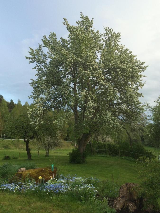 Kolmården Braenntorps Gard 빌라 외부 사진